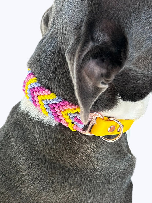 Collier Lucky - Lollipop