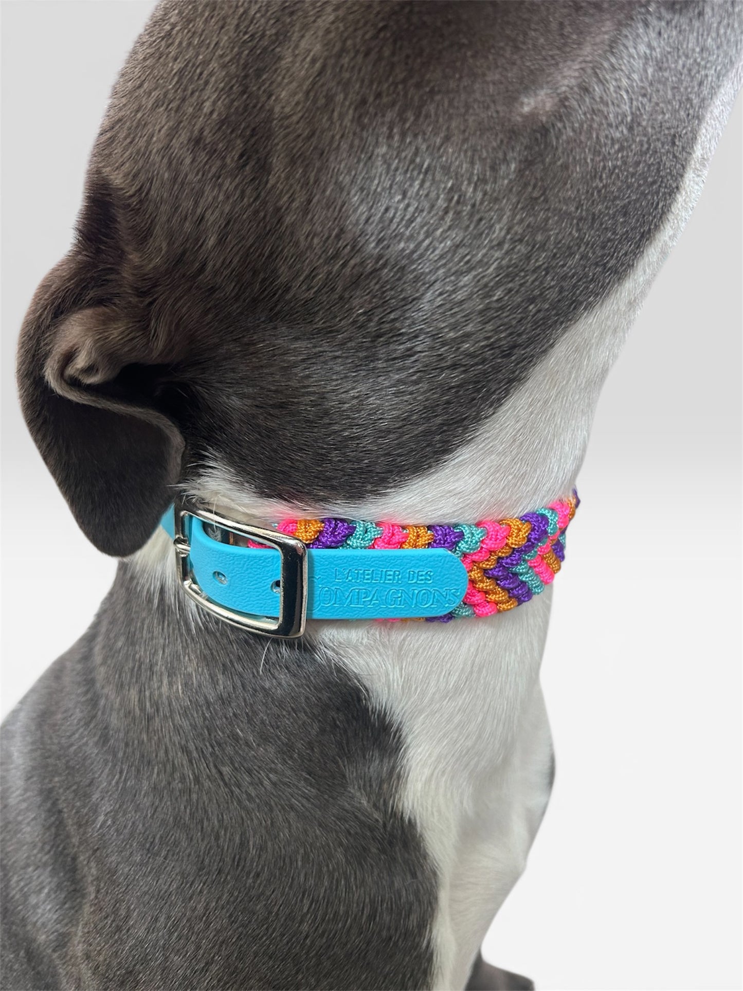 Collier Lucky - Circus