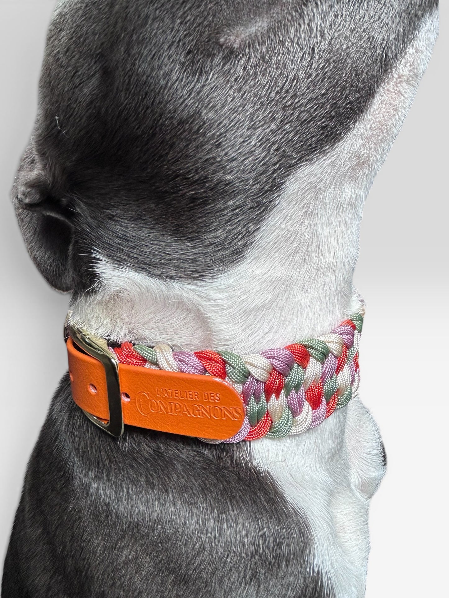 Collier Simba - Balade provençale