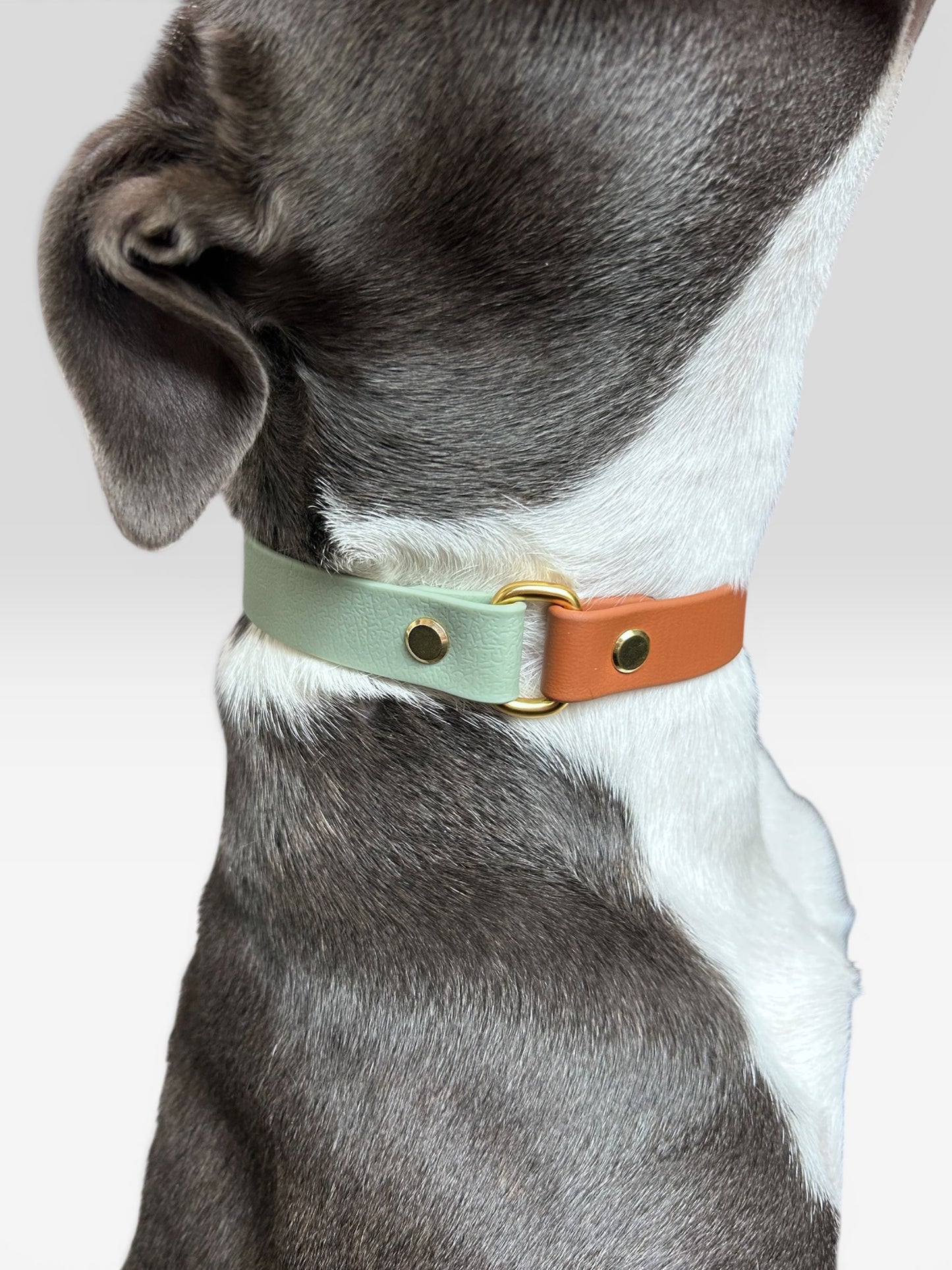 Collier Marley - Terre de Provence