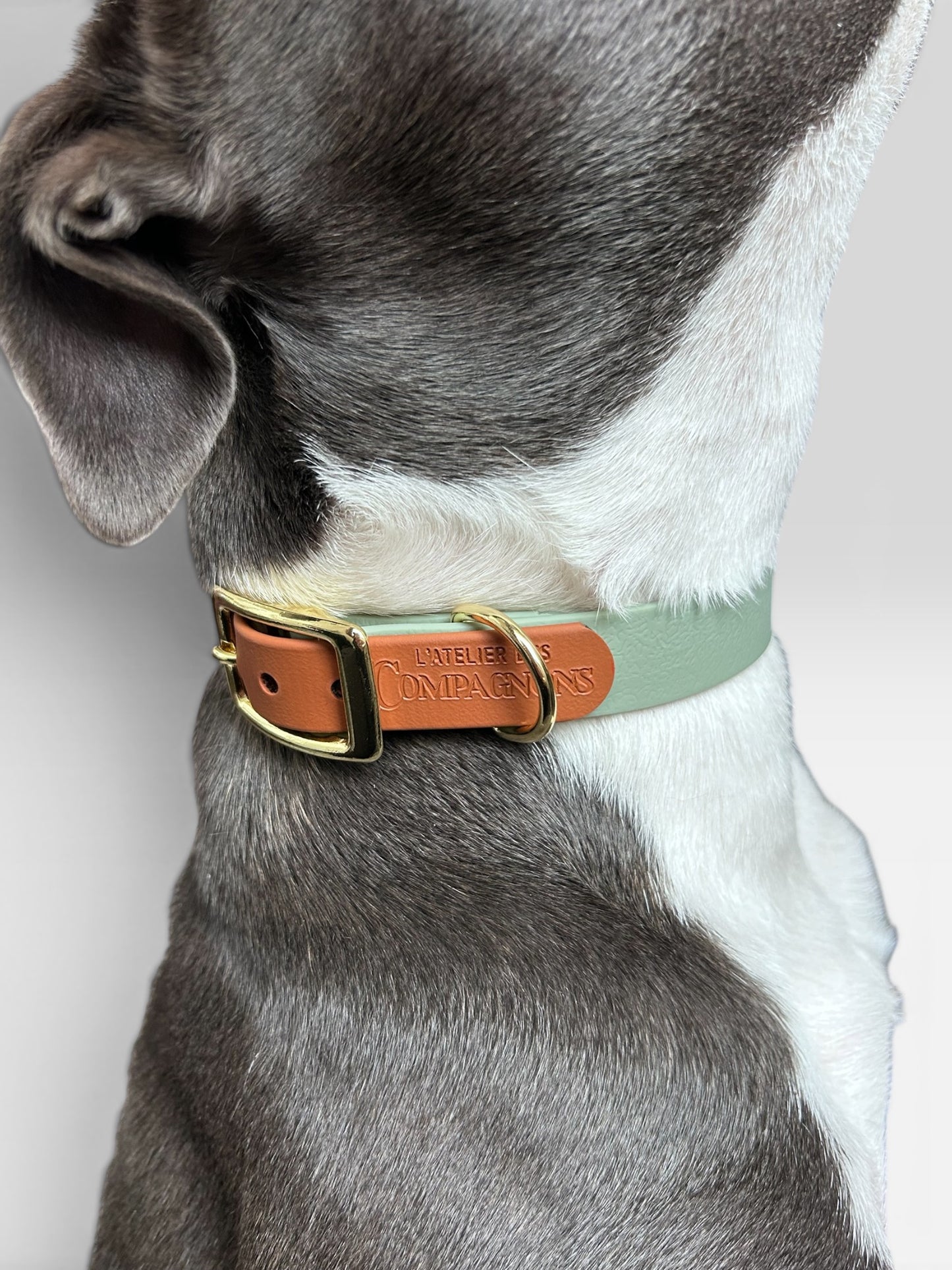 Collier Marley - Terre de Provence