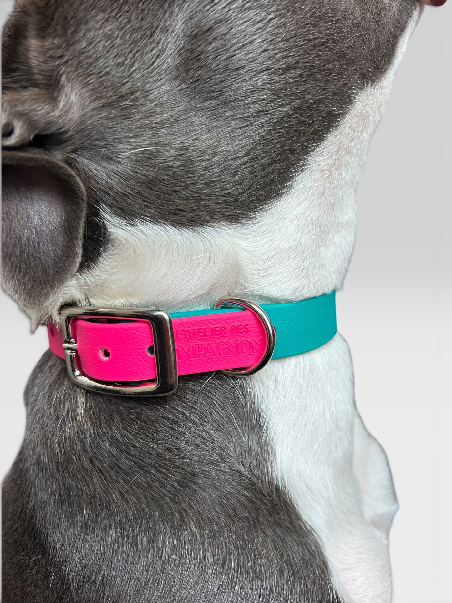 Collier Marley - Lagon pop