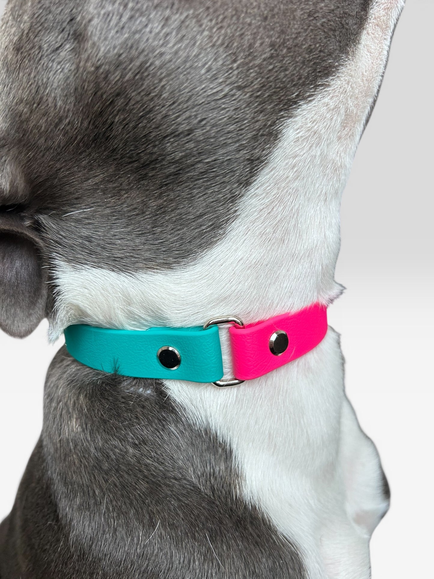 Collier Marley - Lagon pop