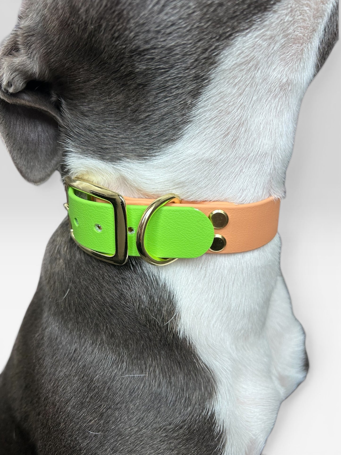 Collier Marley - Sorbet kiwi