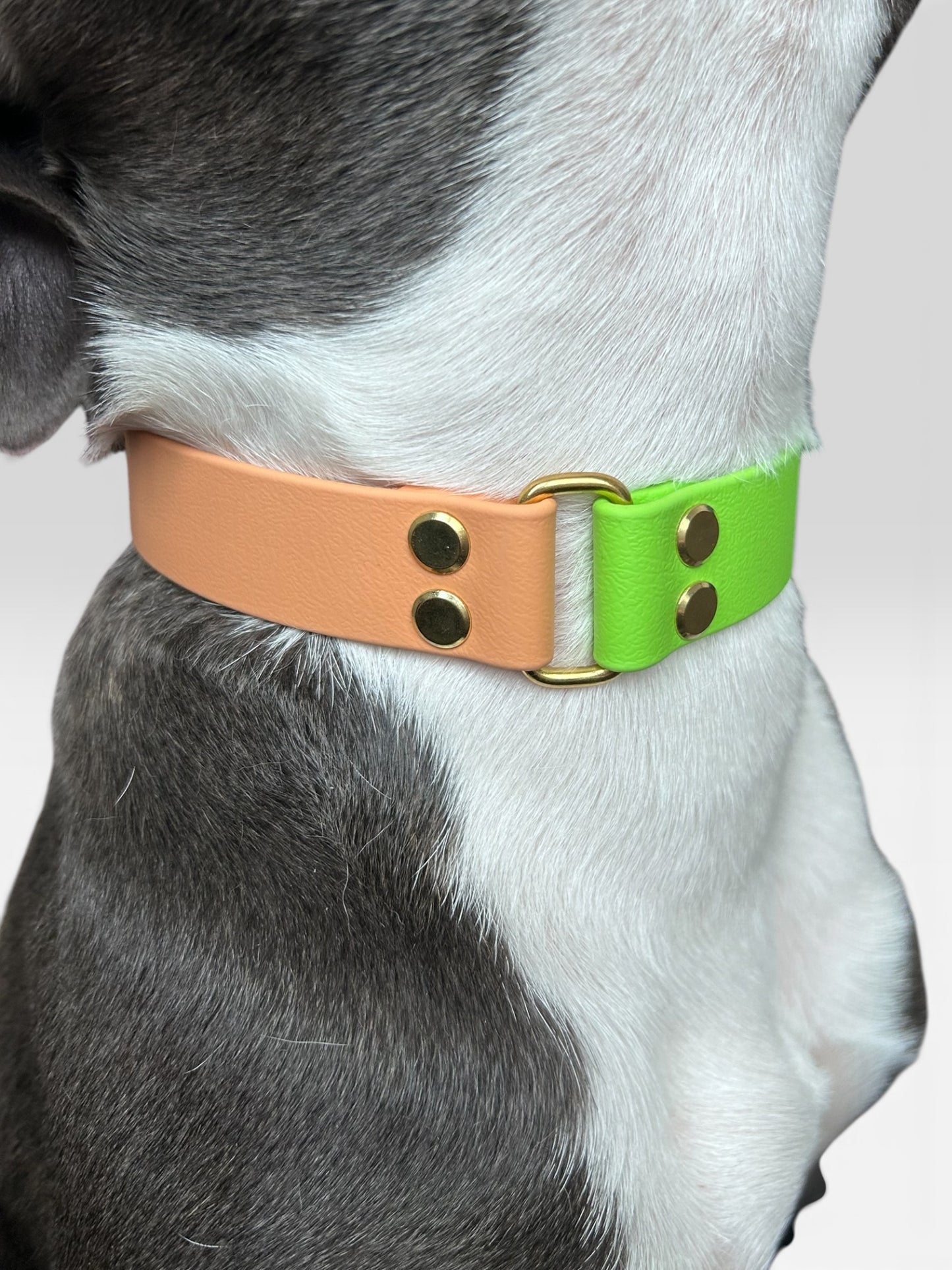 Collier Marley - Sorbet kiwi