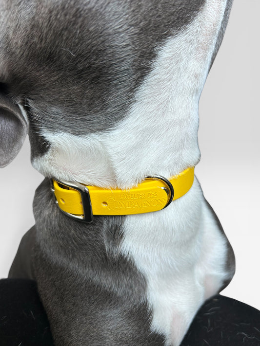 Collier Rio - Jaune