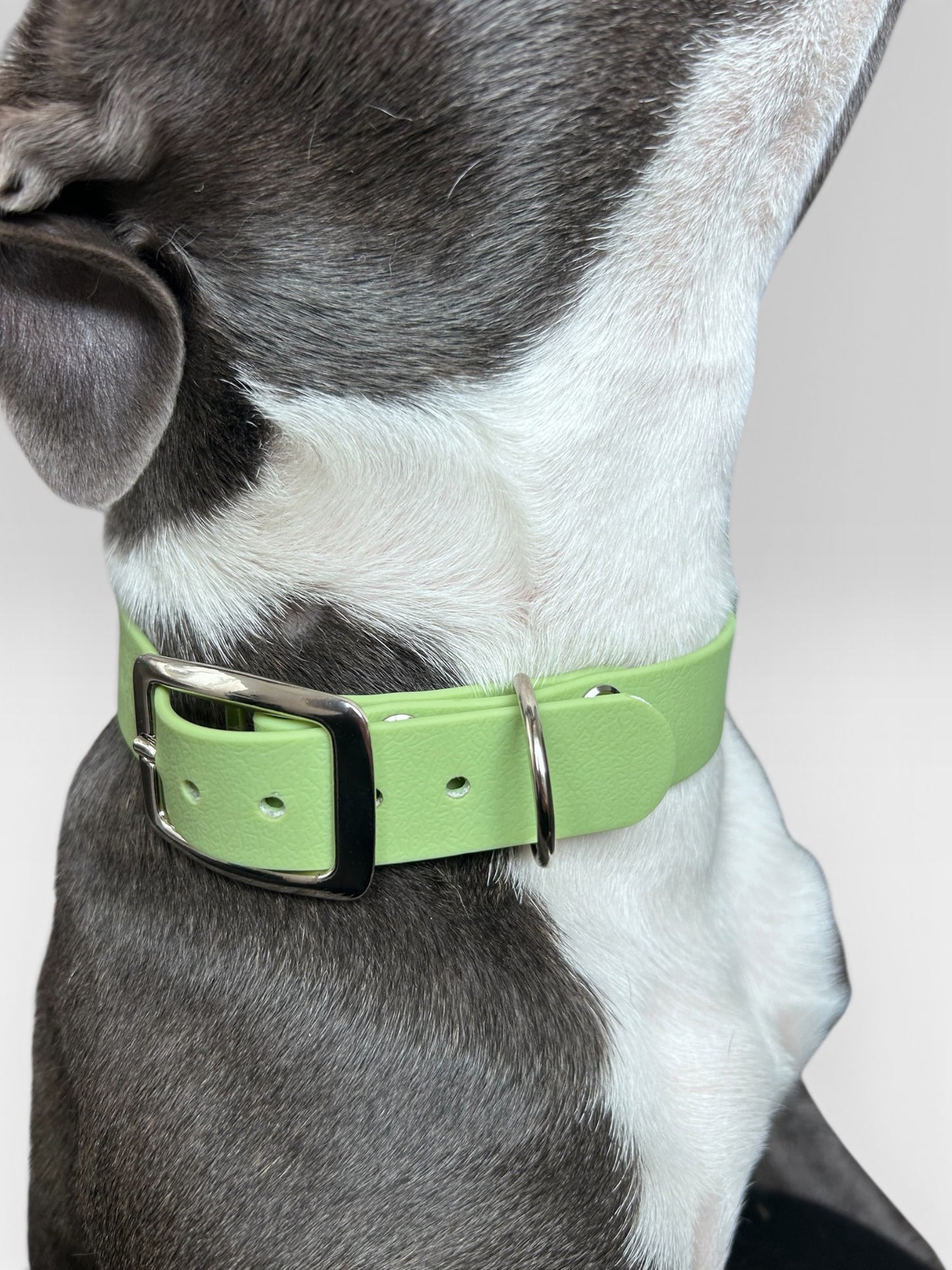 Collier Rio - Guacamole