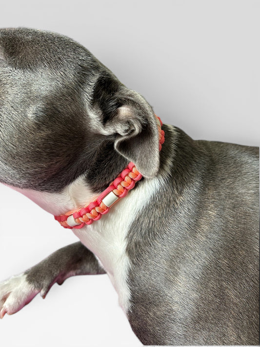 Collier Anti-tiques - Pastèque