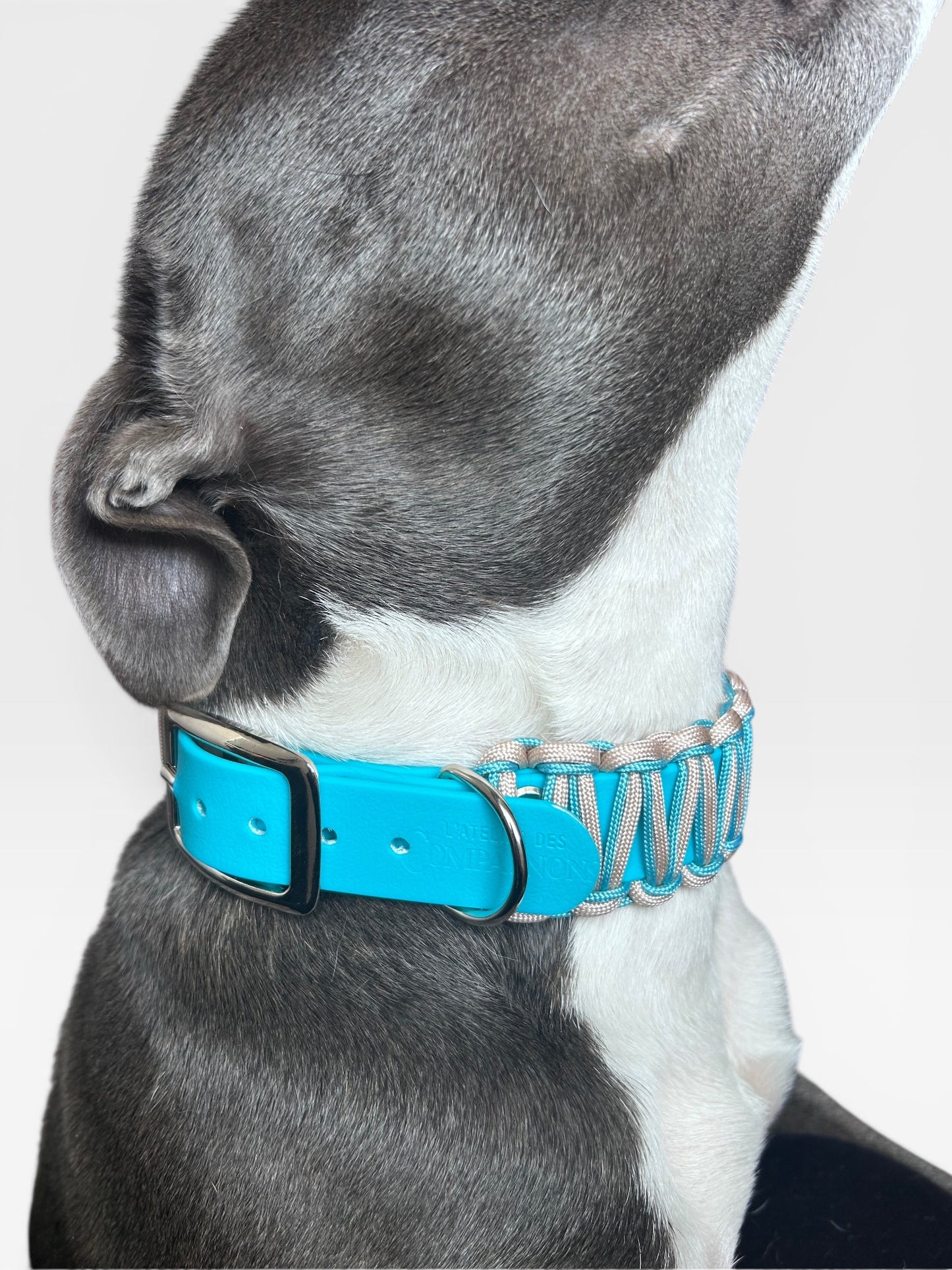 Collier Baloo - Lagon