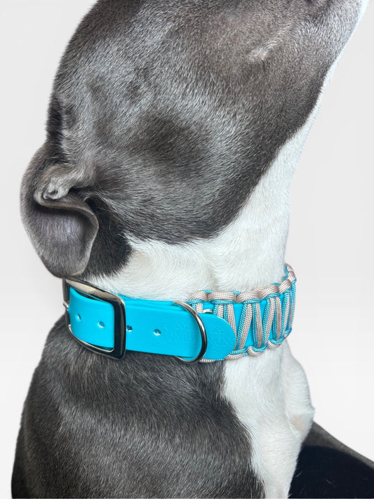 Collier Baloo - Lagon