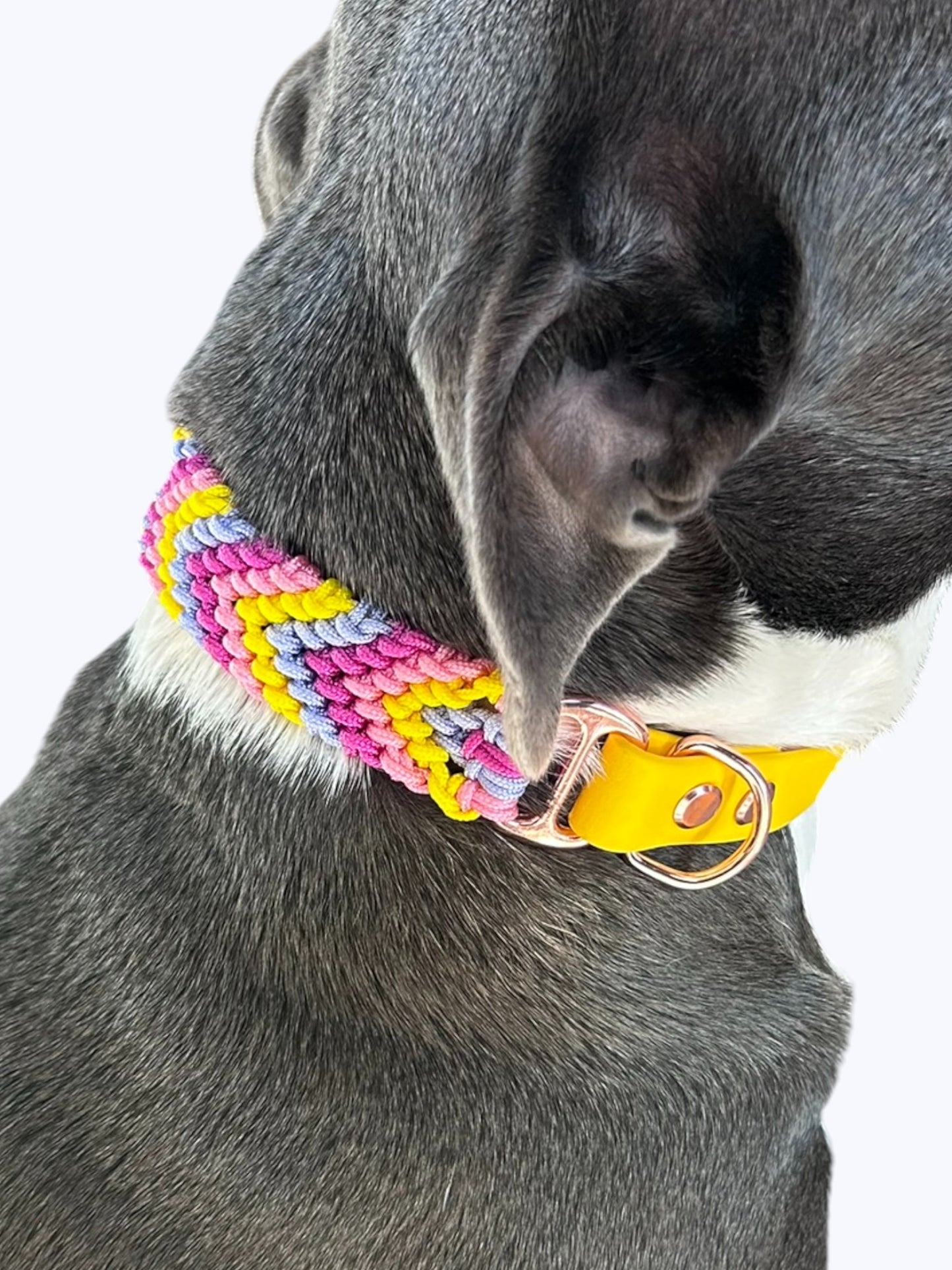Collier Lucky - Lollipop