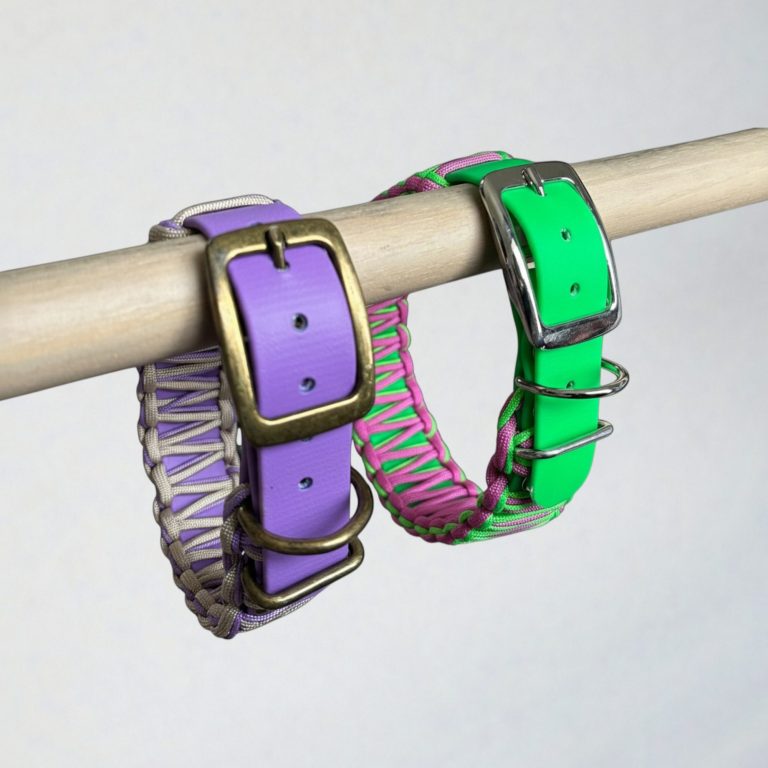 Collier Baloo en biothane et paracorde Collier en biothane habillé d'un tressage en paracorde