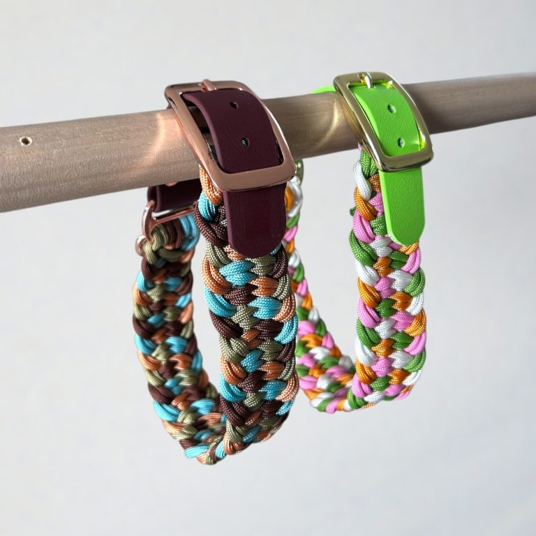 Collier Simba en paracorde et biothane Collier en paracorde tressé 4 couleurs et adatateur en biothane