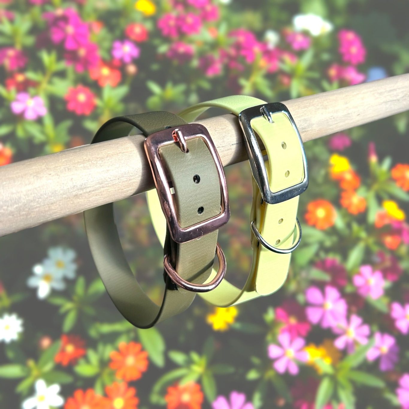 Collier Rio biothane Deux colliers en biothane, l'un et jaune pastel et l'autre vert olive